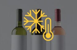 Cava de Vinos 21 Botellas