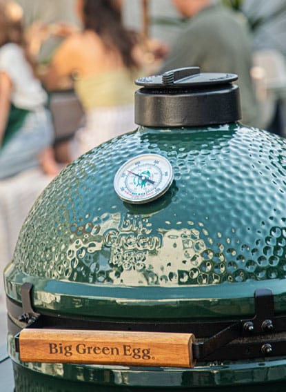 119650-127013 Asador Big Green Egg Minimax